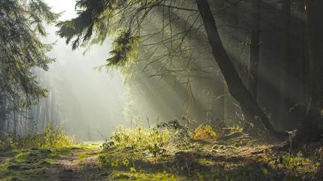 seres de LUZ en CLAVE de misterio