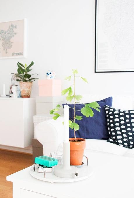 UN PEQUEÑO Y LUMINOSO APARTAMENTO LLENO DE PLANTAS