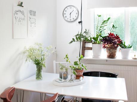 UN PEQUEÑO Y LUMINOSO APARTAMENTO LLENO DE PLANTAS