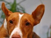 Propositos #semana10