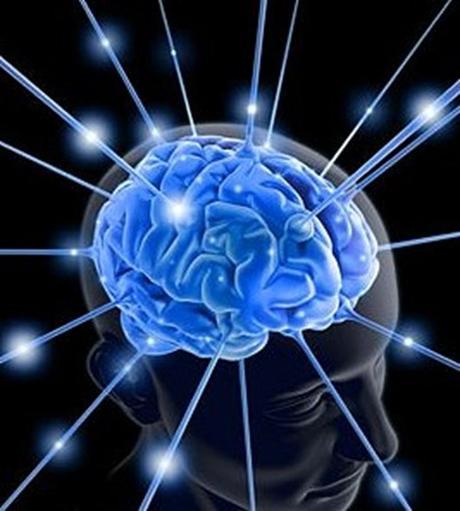 cerebro2