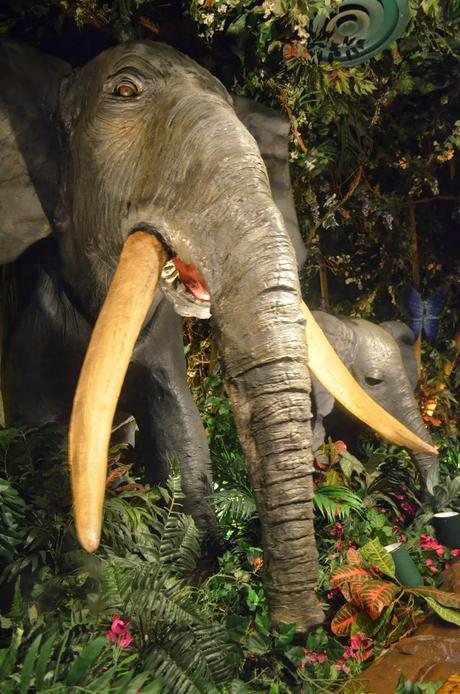 Miami por segunda vez: playita y compras en familia. Oct/2013 Miami por segunda vez: playita y compras en familia. Oct/2013