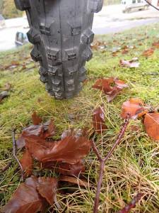 8089213486_4c731af519