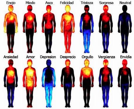 Las emociones... son causas de enfermedad?