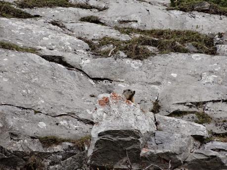 Verano 2014 en Huesca!!
