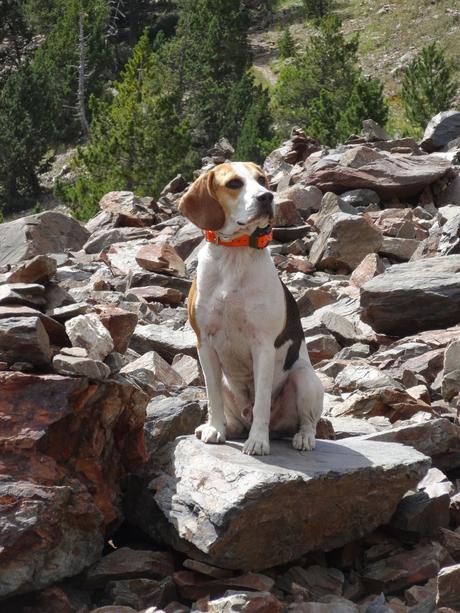 Verano 2014 en Huesca!!