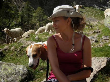 Verano 2014 en Huesca!!