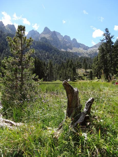 Verano 2014 en Huesca!!