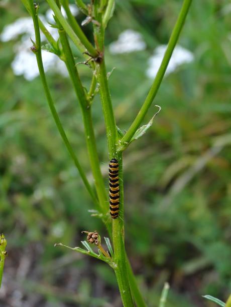 Verano 2014 en Huesca!!