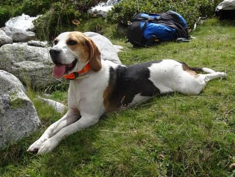 Verano 2014 en Huesca!!