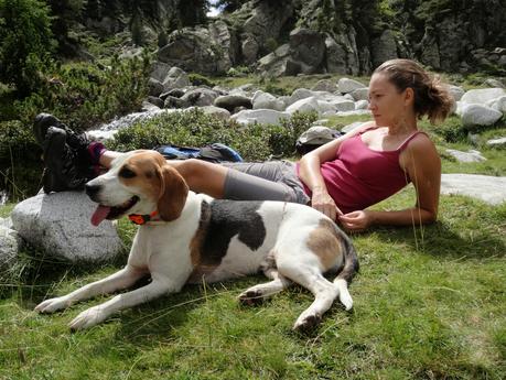 Verano 2014 en Huesca!!