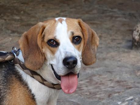 Verano 2014 en Huesca!!