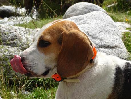 Verano 2014 en Huesca!!