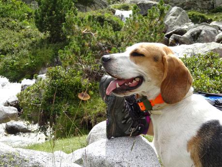 Verano 2014 en Huesca!!