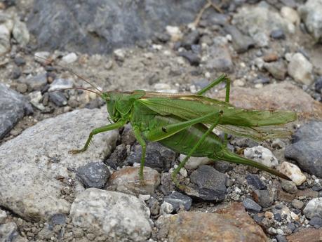 Verano 2014 en Huesca!!