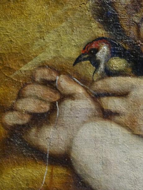 Verano 2014 en Huesca!!