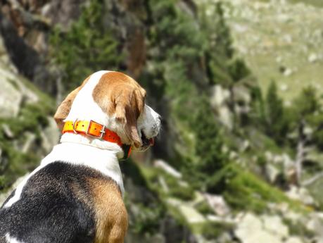 Verano 2014 en Huesca!!