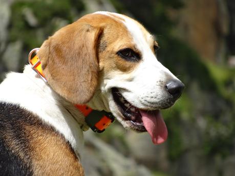 Verano 2014 en Huesca!!