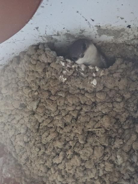 Verano 2014 en Huesca!!