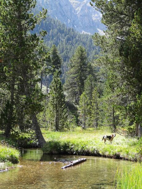Verano 2014 en Huesca!!