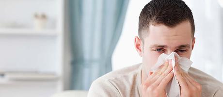 evitar los alergenos