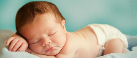 EL FOLÍCULO PILOSO EL FOLÍCULO PILOSO