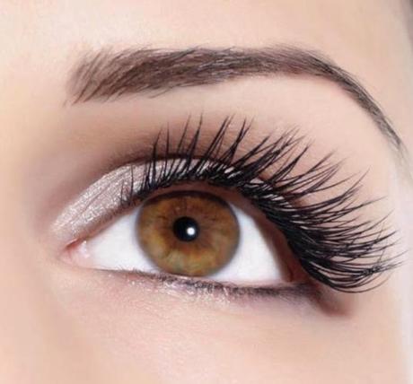 EL FOLÍCULO PILOSO EL FOLÍCULO PILOSO