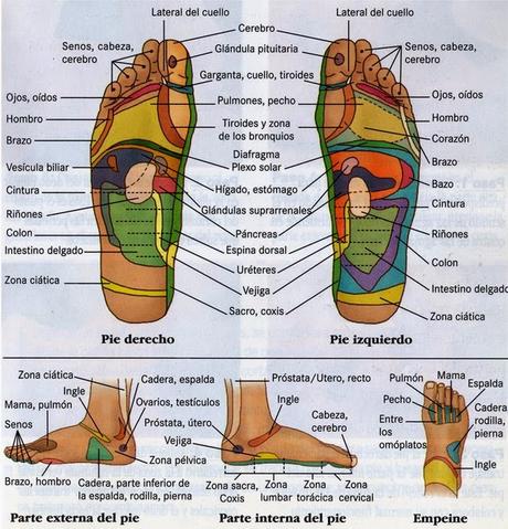 LA REFLEXOLOGÍA PODAL
