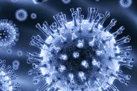 DESINFECCIÓN Y ESTERILIZACIÓN DESINFECCIÓN Y ESTERILIZACIÓN