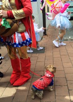 Carnavales de Cebreros