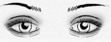 MAQUILLAR LOS OJOS SEGÚN SU FORMA MAQUILLAR LOS OJOS SEGÚN SU FORMA