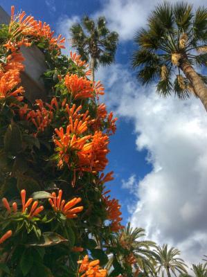 Melilla Viajar Tiempo