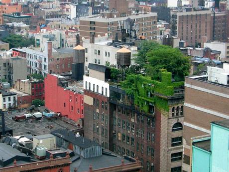También en Nueva York podemos encontrar techos verdes