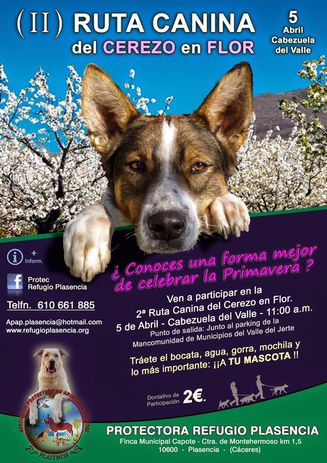 Primavera y Cerezo en Flor en el Valle del Jerte. Próximas citas deportivas Primavera y Cerezo en Flor en el Valle del Jerte. Próximas citas deportivas
