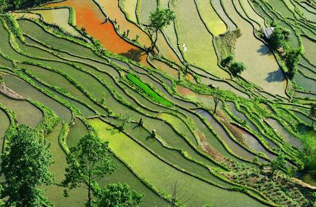 Subsistence farming in Yunnan Province, southern China
