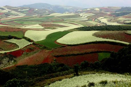 Red earth at Hongtudi