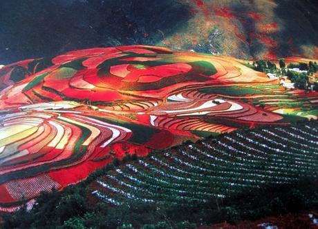 Colorful fields of Dongchuan district