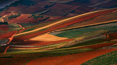 Red Land Dongchuan