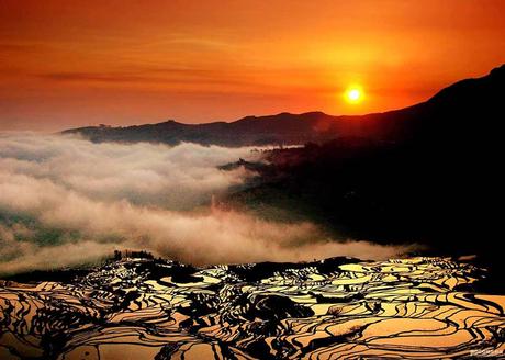 Terraced Rice Field in Jingkou Village