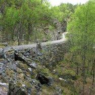 5 Arne Espeland 5 Arne Espeland