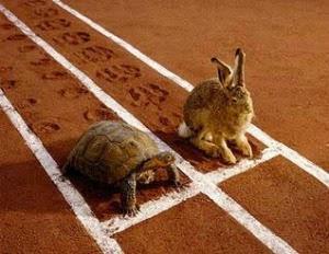 Misión Pacer. La Historia de una Liebre en Maratón Misión Pacer. La Historia de una Liebre en Maratón