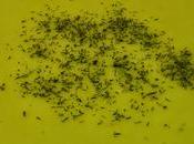 Cómo hacer crema verduras