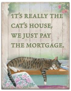 tu gato es el dueño de tu casa