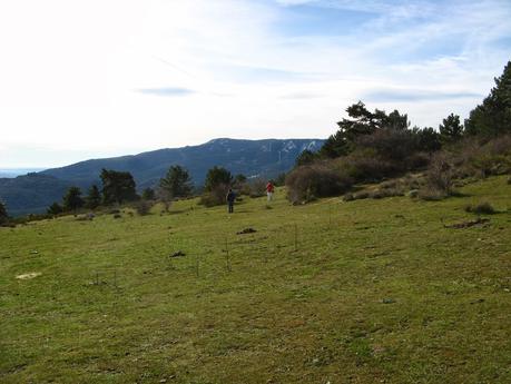 Cerro de los Álamos Blancos, Frente del Guadarrama (Alto del León, Guadarrama) 26-1-2014