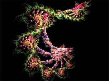 EL VIAJERO IMPARABLE