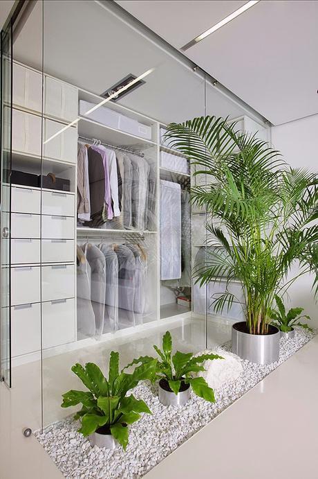 Decoración con plantas verdes Decoración con plantas verdes
