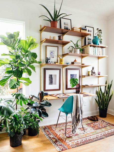 Decoración con plantas verdes Decoración con plantas verdes
