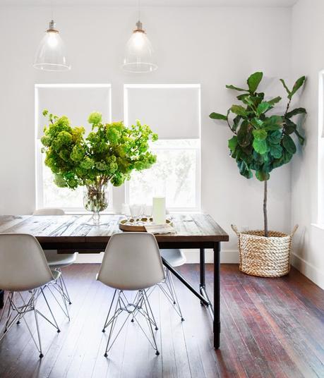 Decoración con plantas verdes Decoración con plantas verdes