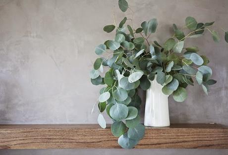 Decoración con plantas verdes Decoración con plantas verdes