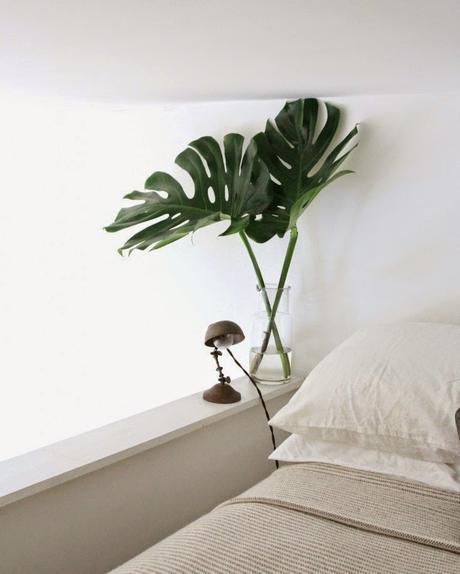 Decoración con plantas verdes Decoración con plantas verdes